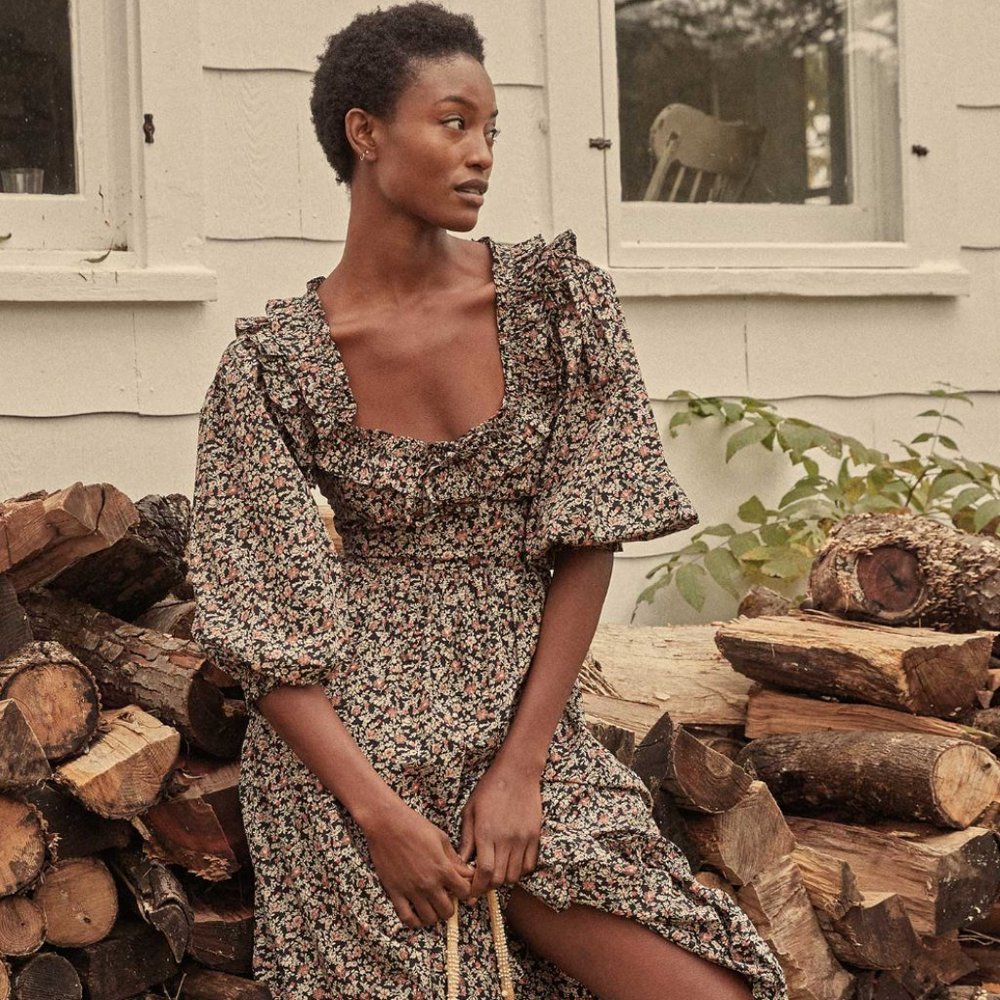 NWT DOEN BROOKE  DRESS (puff sleeves) SZ S